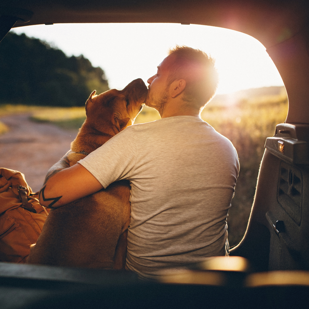 5 Signs Your Dog Needs Joint Care Supplements