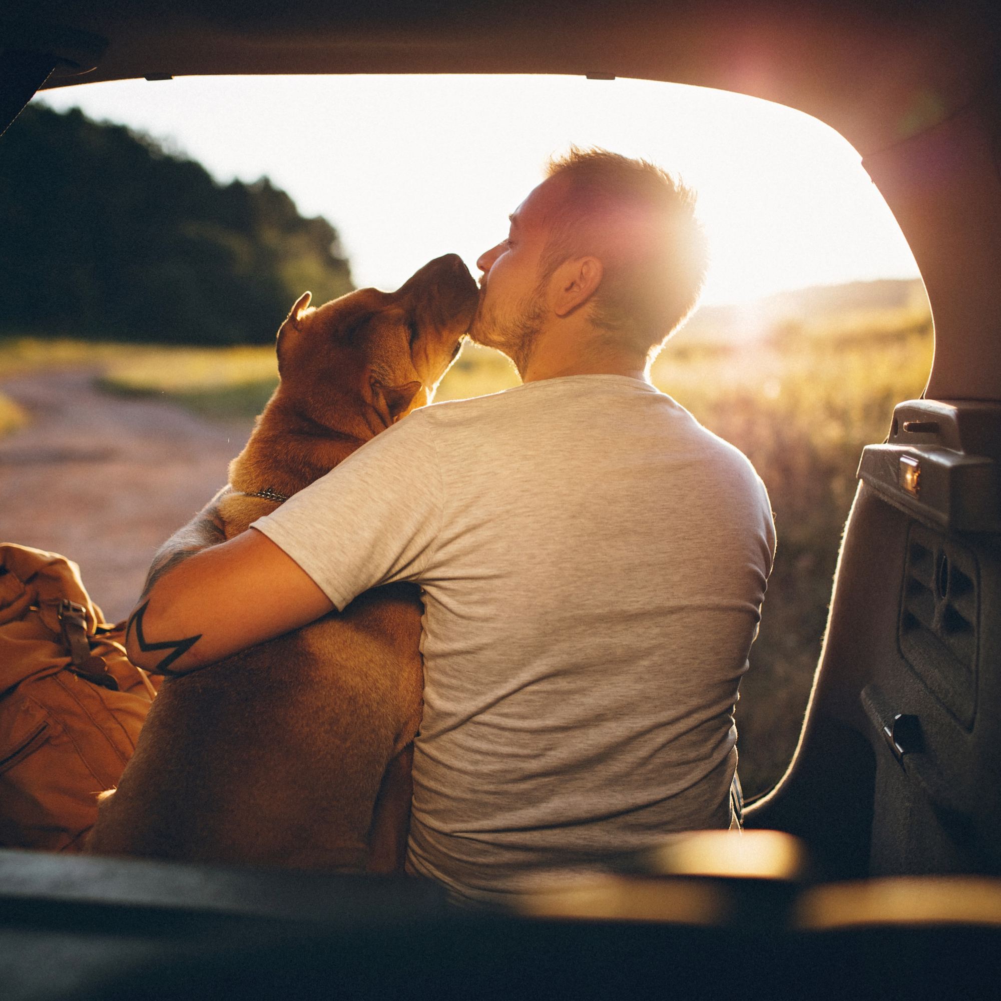 5 Signs Your Dog Needs Joint Care Supplements