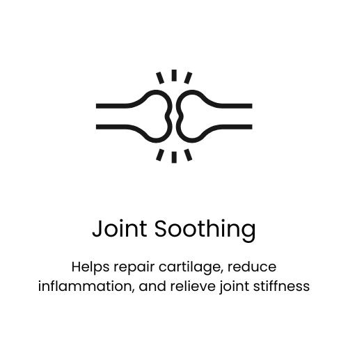joint soothing tablets for dogs gogo motion