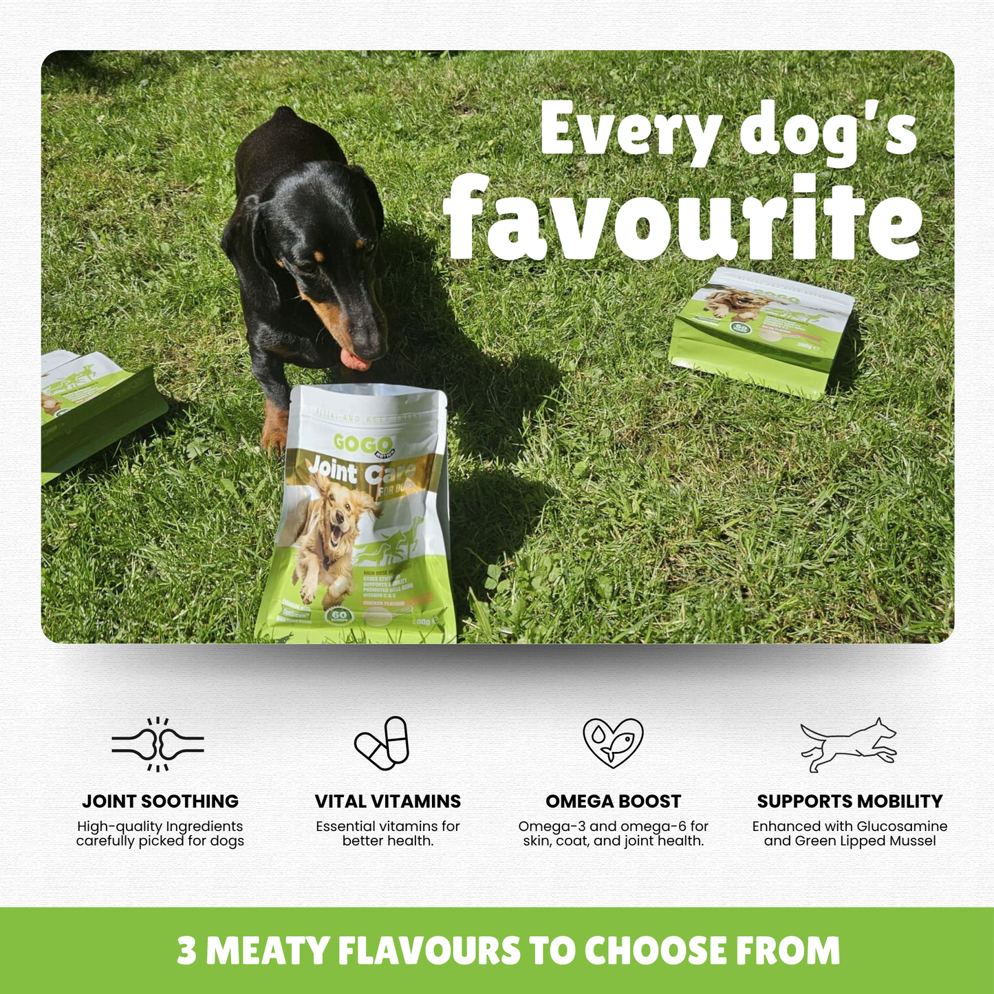 Dog with chicken flavoured joint care powder with essential vitamins 