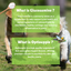 Joint Care for Dogs Trial Pack