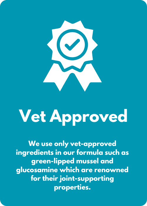 joint care for dogs vet-approved ingredients 